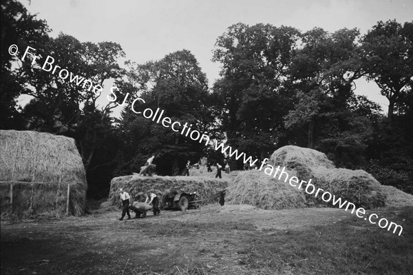 THRESHING AT ST MARYS